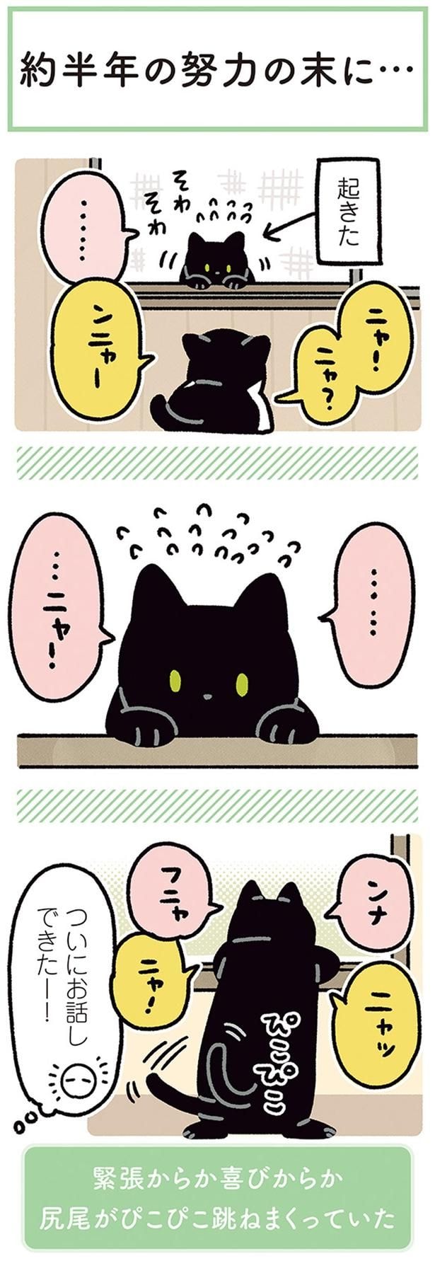 ついにお話できたー!