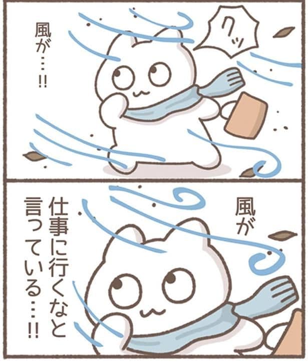 風が…!!