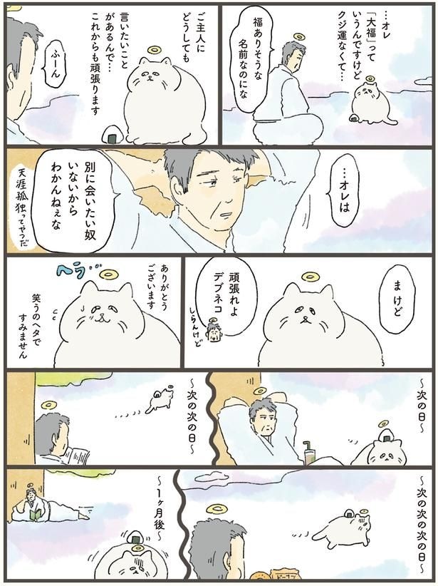 頑張れよデブネコ