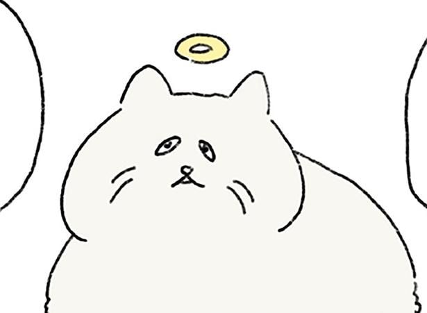 どうしても飼い主に使えたくて