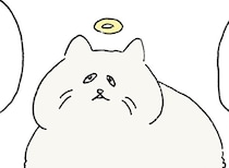 どうしても飼い主に伝えたくて。天国の猫が届けたかったメッセージとは