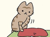 【シンデレラのガラスの靴とねこ】イタズラ発動！ ガラスの靴が大変なことに