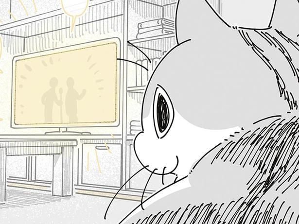 ネコもまた見ている