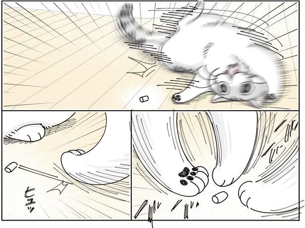 飛びかかり