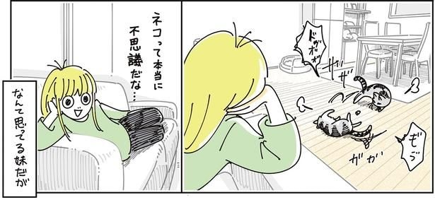 不思議だな