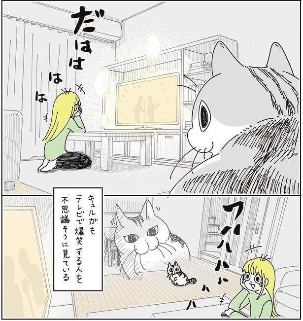 不思議そうに見ている