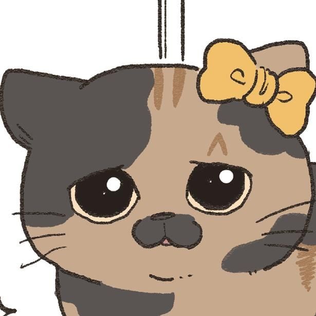 困ってる顔の猫