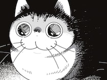 真っ暗な部屋でスマホをいじる飼い主。近くにネコが来て仕掛けられたドッキリ
