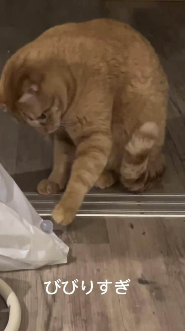 ビー玉を転がしている▶自分で転がしたのに…（⇒次へ）