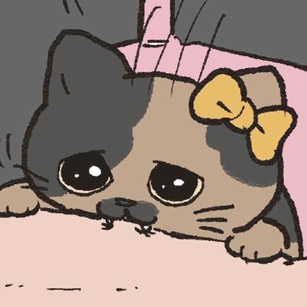 抱っこ嫌いな猫