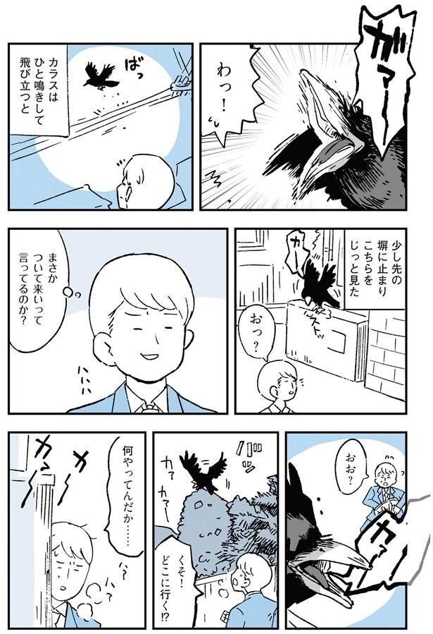 まさかついて来いって言ってるのか?