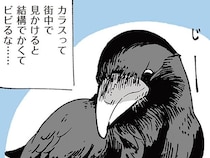 「教えてくれたらこれやるよ」お菓子をちらつかせ、カラスに道案内を頼んだ結果