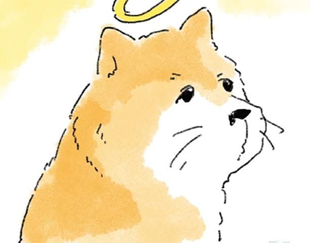 亡き愛犬が好きだった散歩道