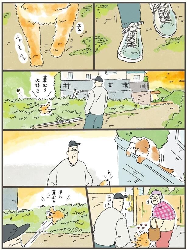 草むら大好き