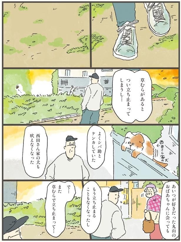草むらがあるとつい立ち止まってしまうし…