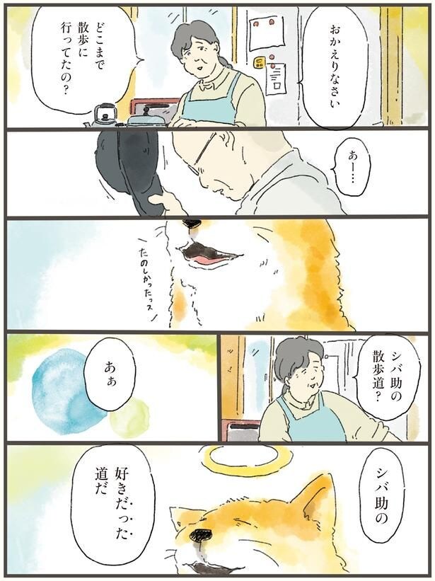 どこまで散歩に行ってたの?