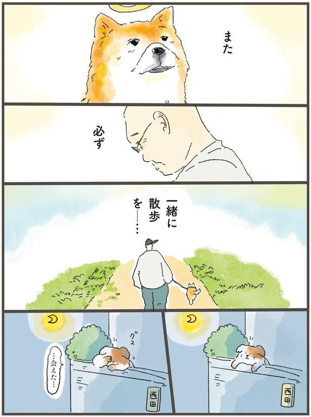 また必ず一緒に散歩を
