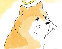 亡き愛犬が好きだった散歩道。「もしかしたら、ひょっこり…」を願って歩いたら
