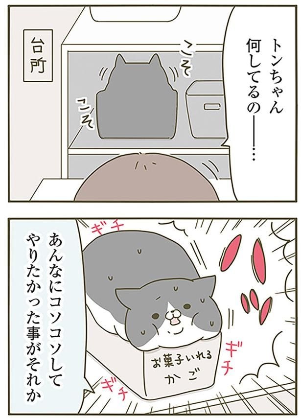 何してるの