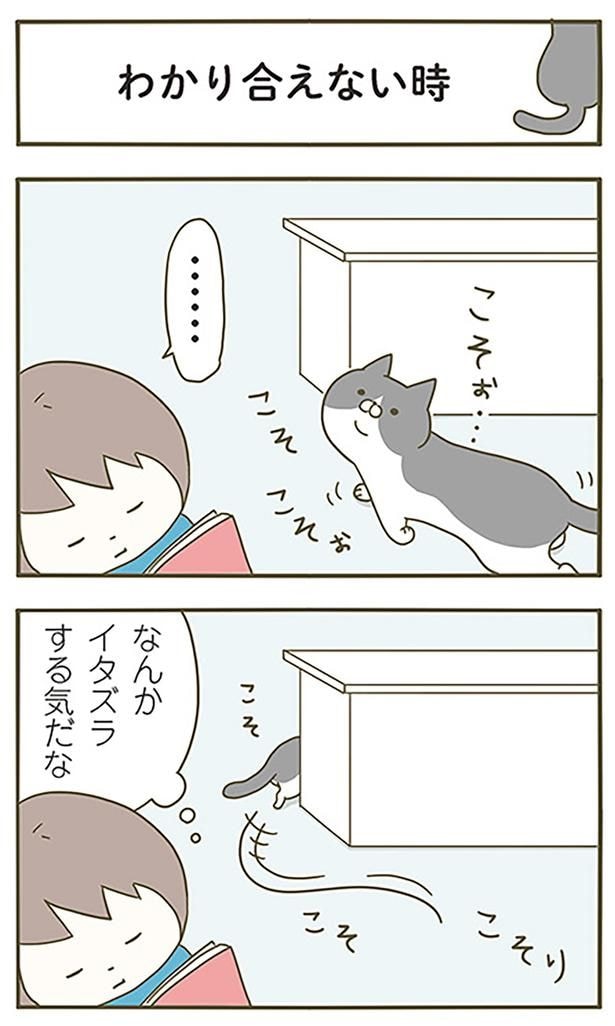 わかり合えない時