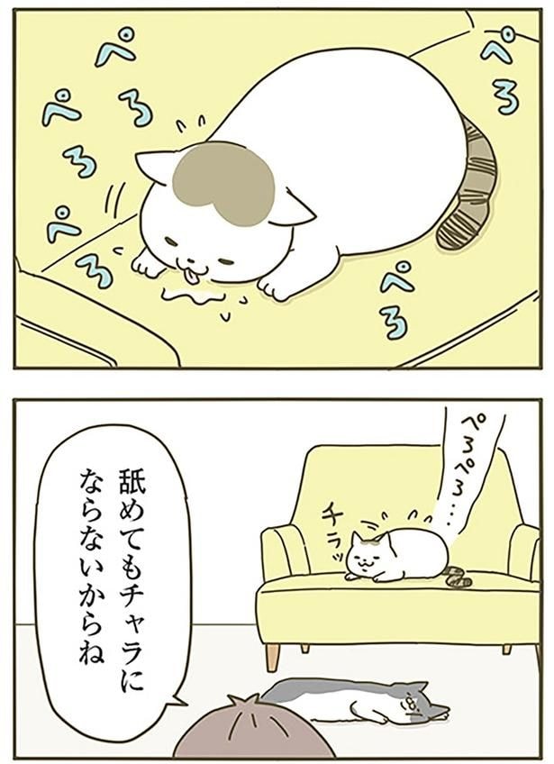 舐めても
