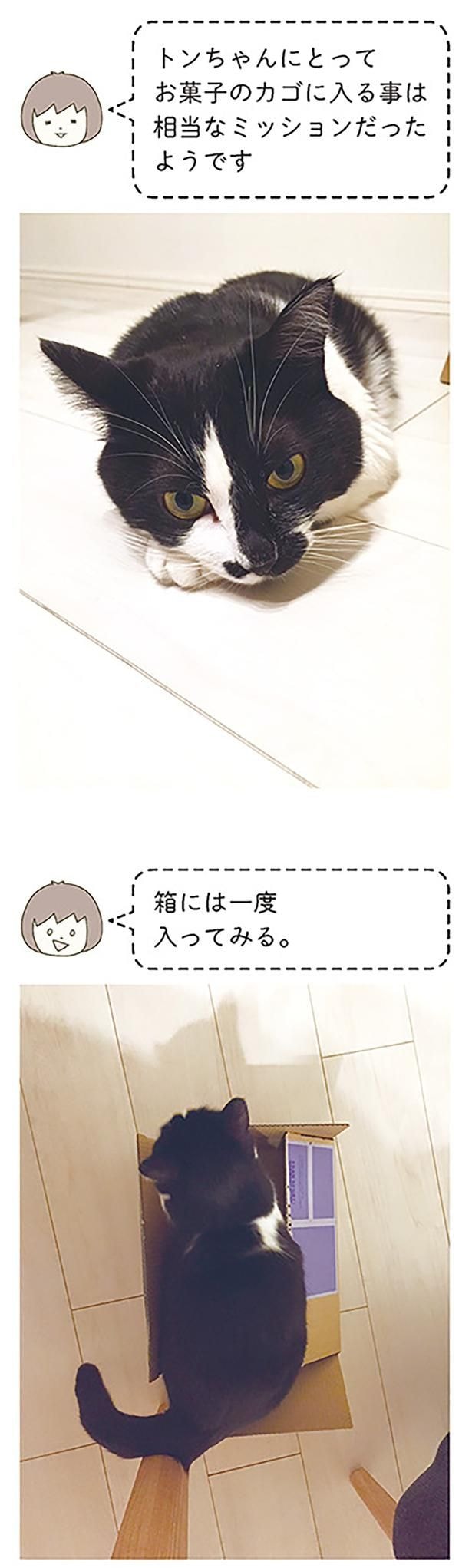 箱には一度入ってみる