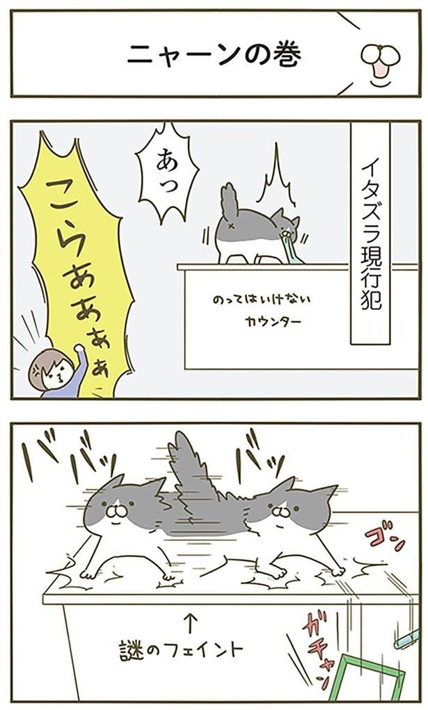 ニャーンの巻