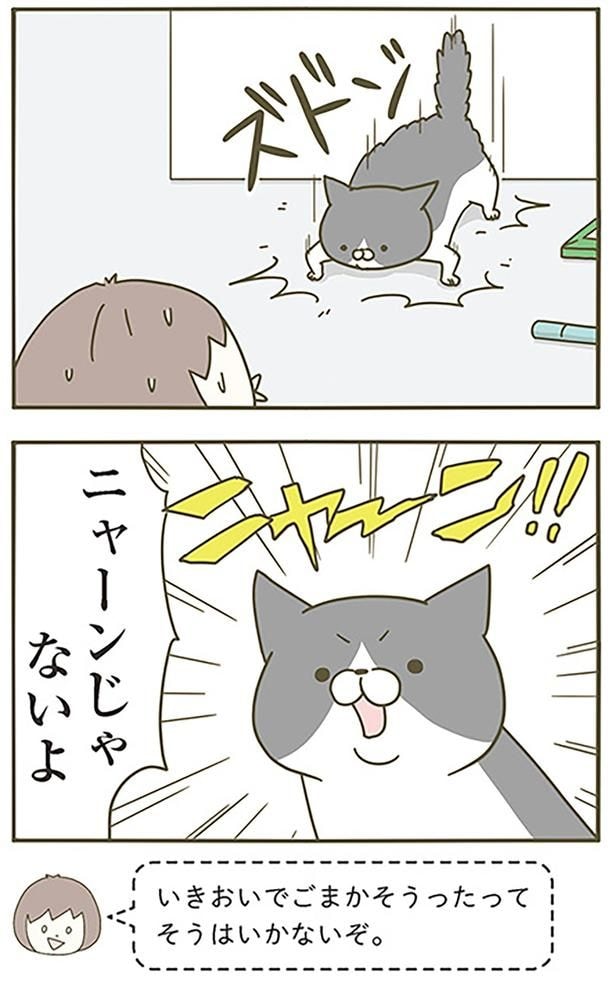 ニャーンじゃないよ