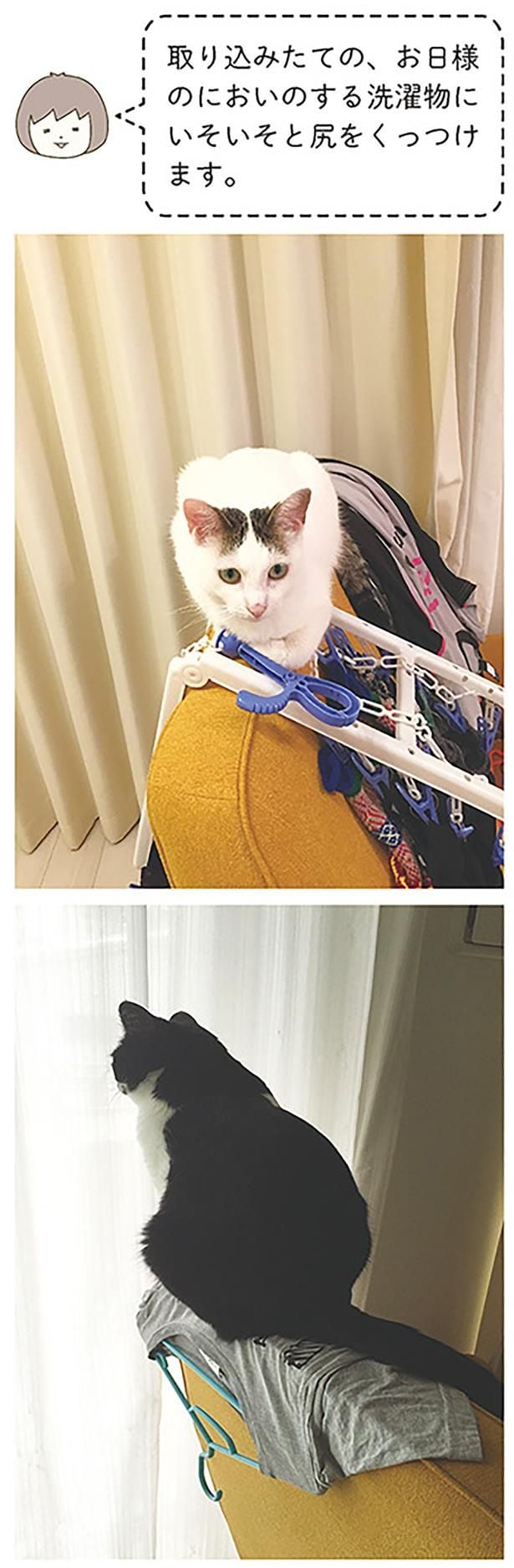 いそいそと…