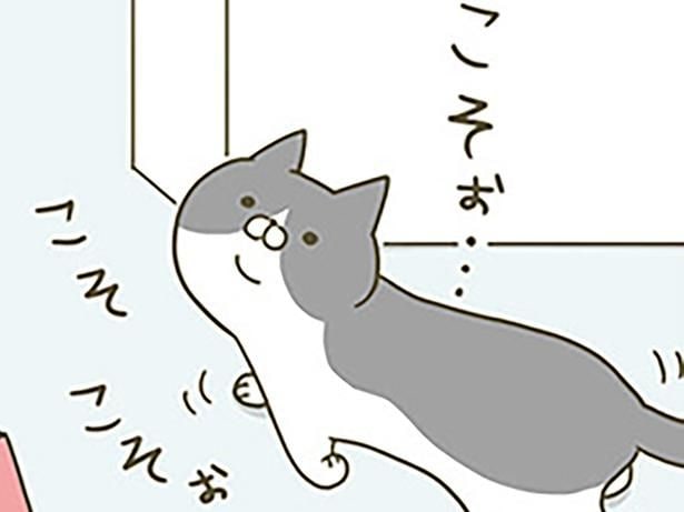イタズラする気だな? 飼い主を見上げてコソコソする猫の行方は