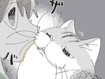 毛が邪魔ー！ 飼い主とネコの仲良しスキンシップ、互いの不満は一致していて