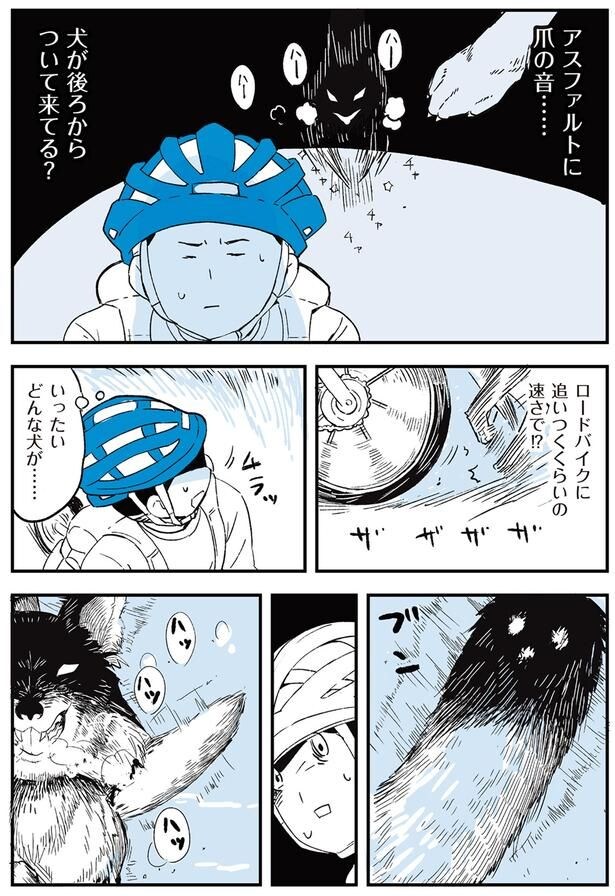いったいどんな犬が…
