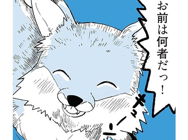 ずっとついてくる！ ロードバイクに追いつく速度で並走するキツネのような何か