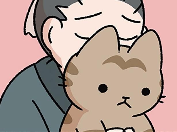 ねこに夢中!