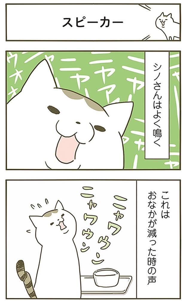 スピーカー