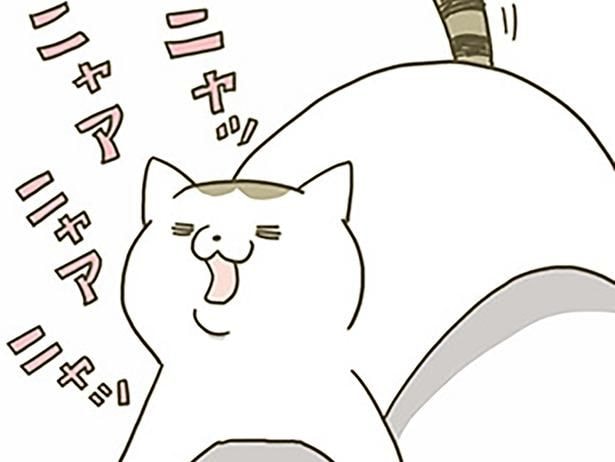 どんな理由で鳴いてるの?