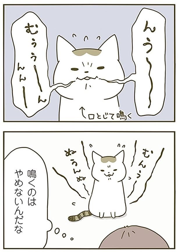 鳴くのはやめないんだな