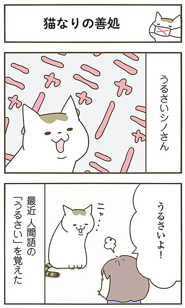 猫なりの善処