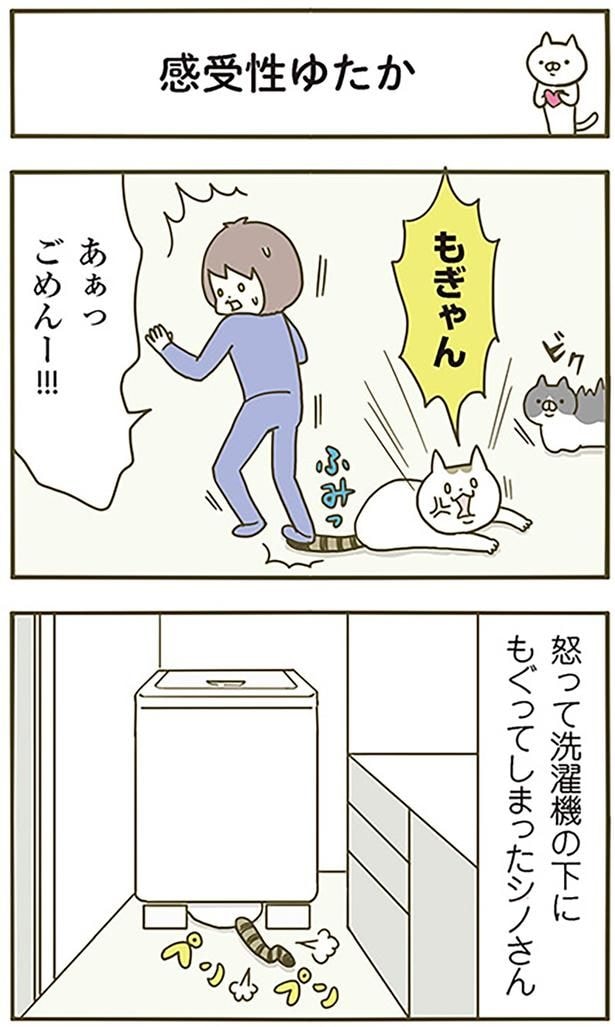 感受性ゆたか
