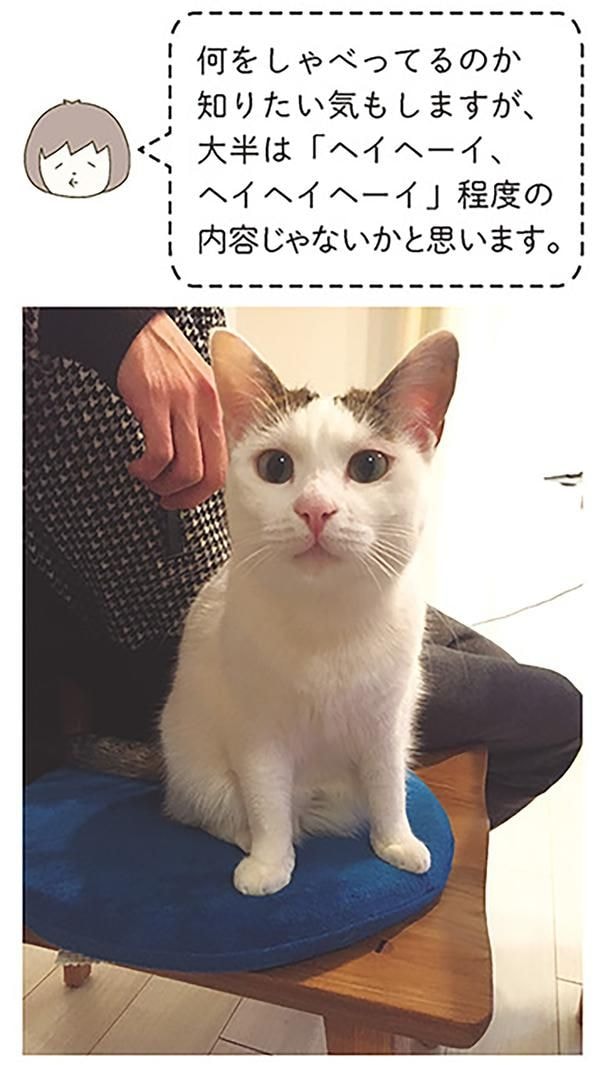 何をしゃべってるのか…