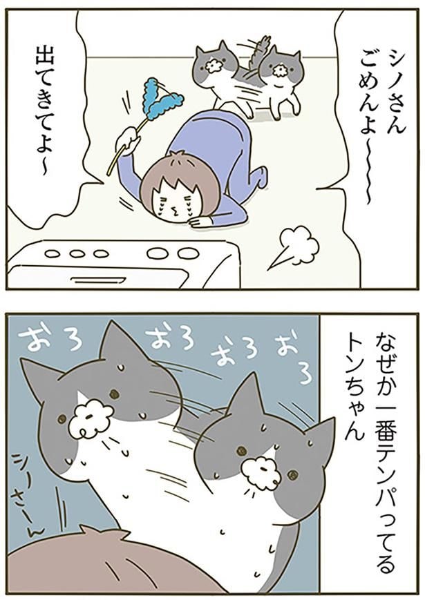 ごめんよ~~~