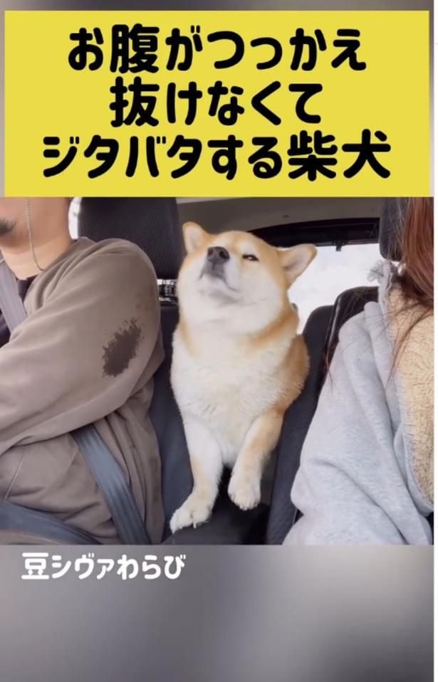 上半身を引き抜く▶体を後ろに引いてみるが…（⇒次へ）