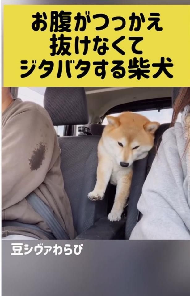 左肩が抜けた！▶そのまま…（⇒次へ）