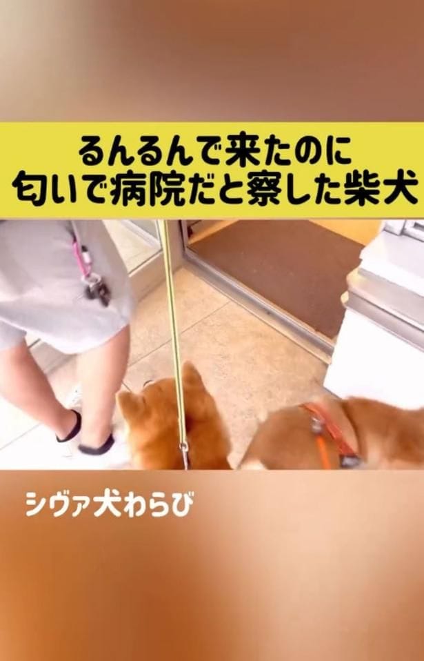 くるりと向きを変えた▶そのまま…（⇒次へ）