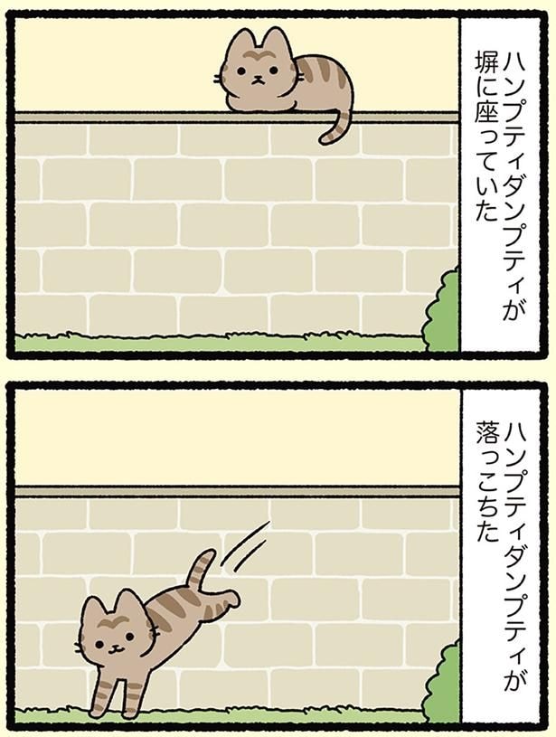 ねこは気まぐれ