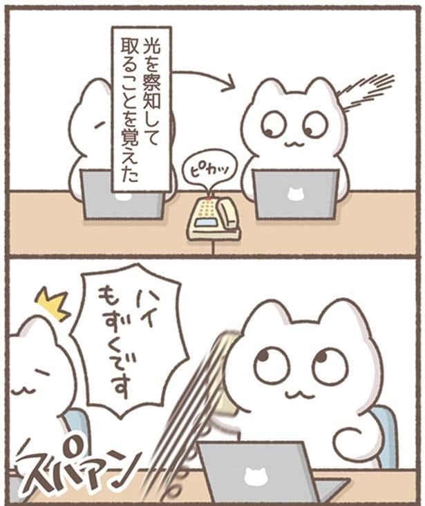 ピカッ