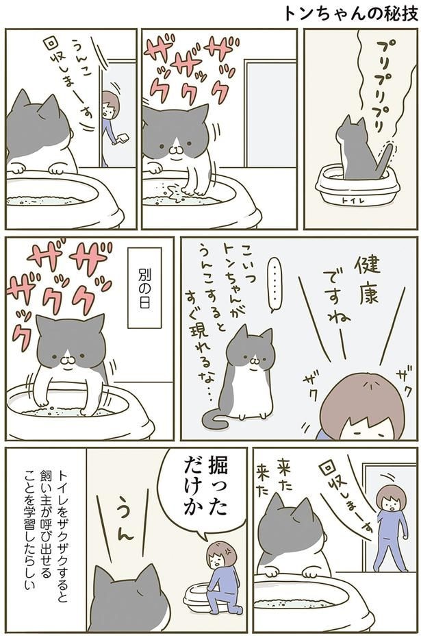 トンちゃんの秘技