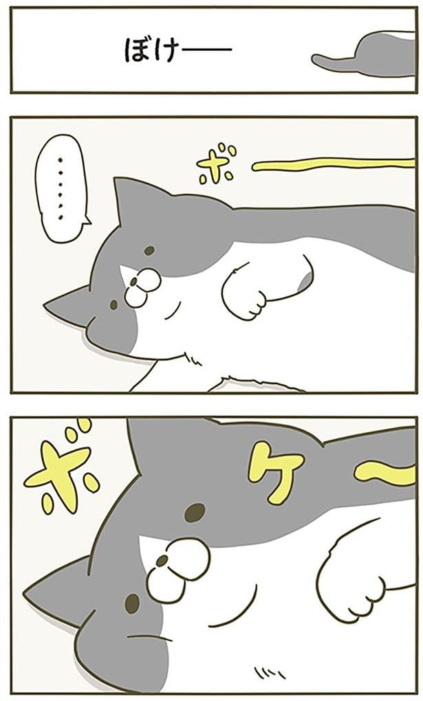 ぼけー