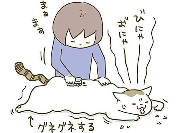 「また逃げおった」ブラッシングの好き嫌いがはっきりしている2匹の話