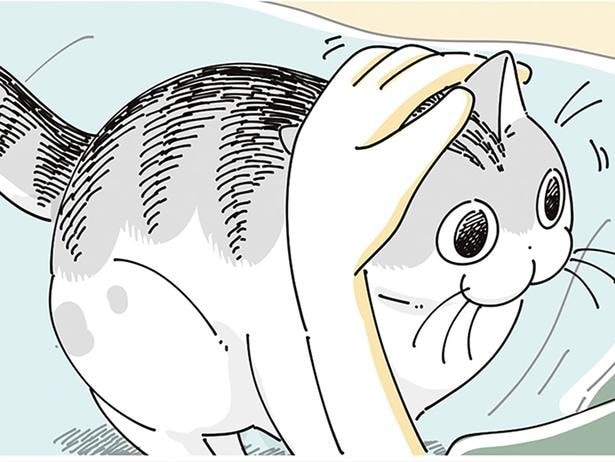 ネコの目的は
